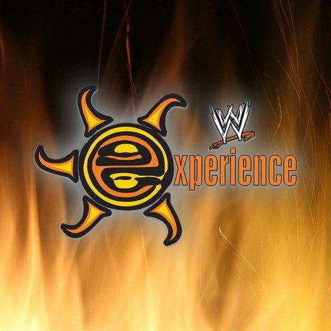 WWE Experience
