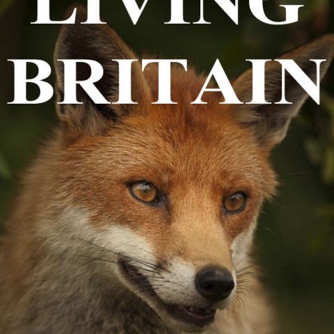 Living Britain