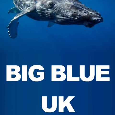Big Blue UK
