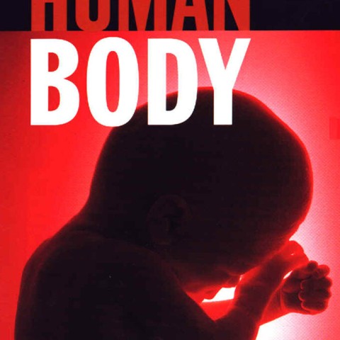 The Human Body