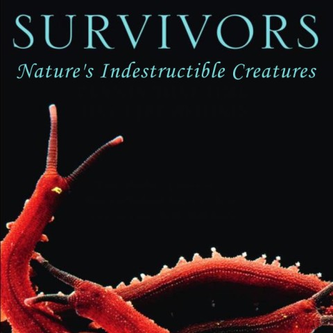 Survivors: Nature's Indestructible Creatures
