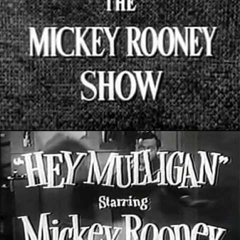 The Mickey Rooney Show