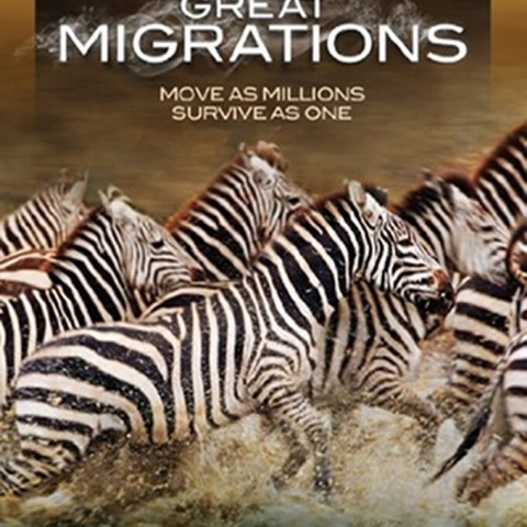 Great Migrations