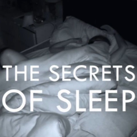 The Secrets of Sleep