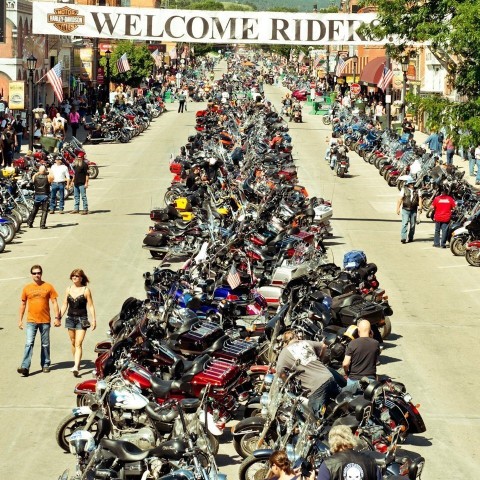 Sturgis Raw