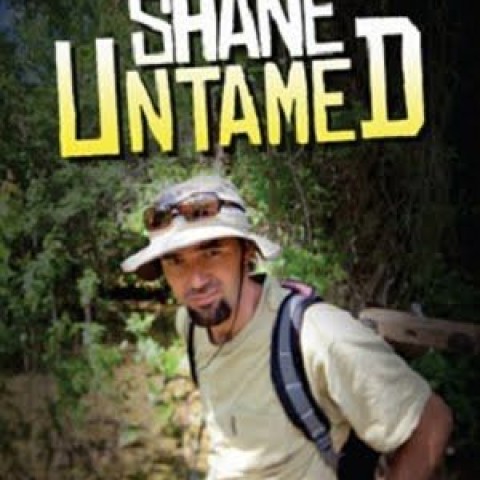 Shane Untamed