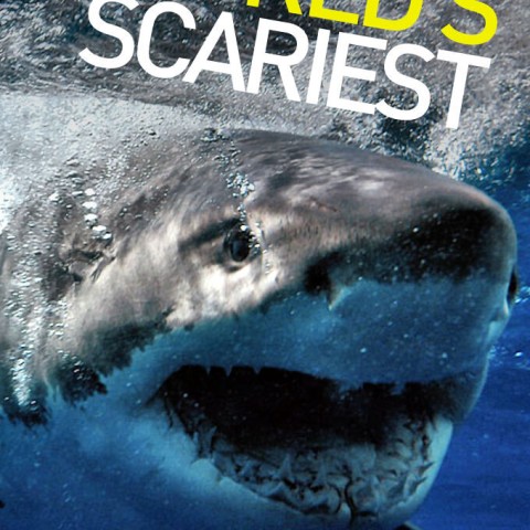 World's Scariest...