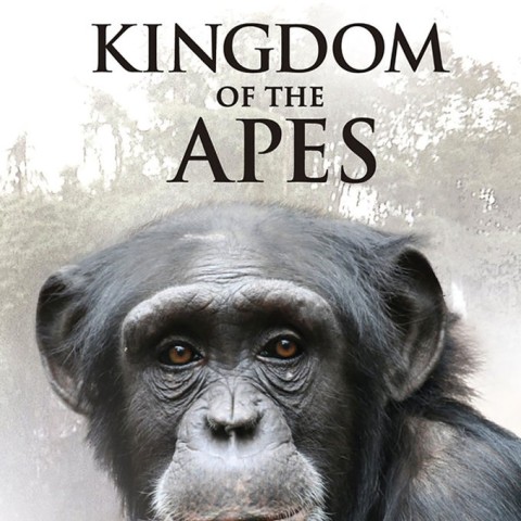 Kingdom of the Apes