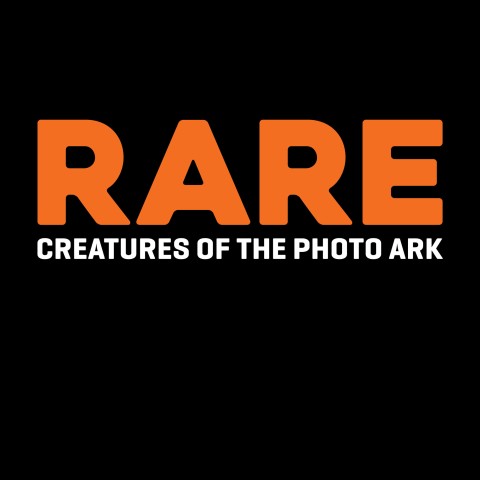 Rare: Creatures of the Photo Ark