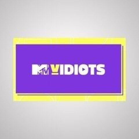 Vidiots