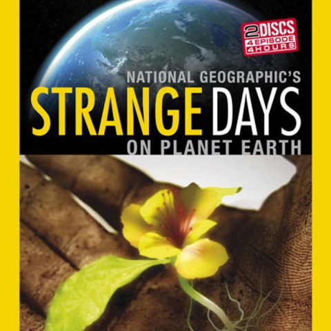 Strange Days on Planet Earth