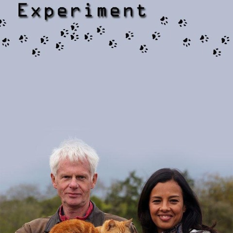 Cat Watch 2014: The New Horizon Experiment