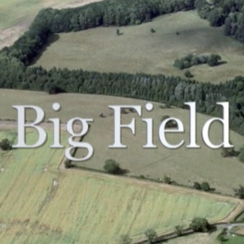 Big Field