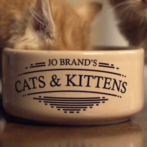 Jo Brand's Cats and Kittens