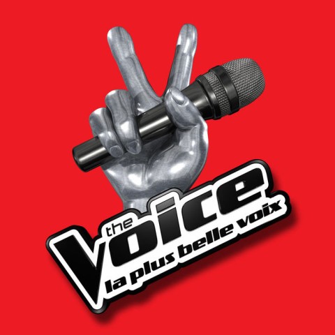 The Voice: la plus belle voix