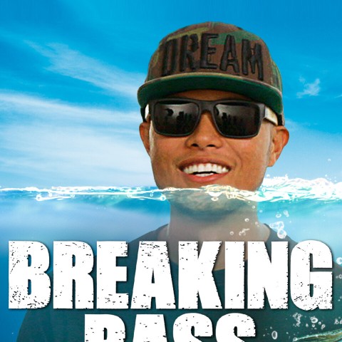 Breaking Bass