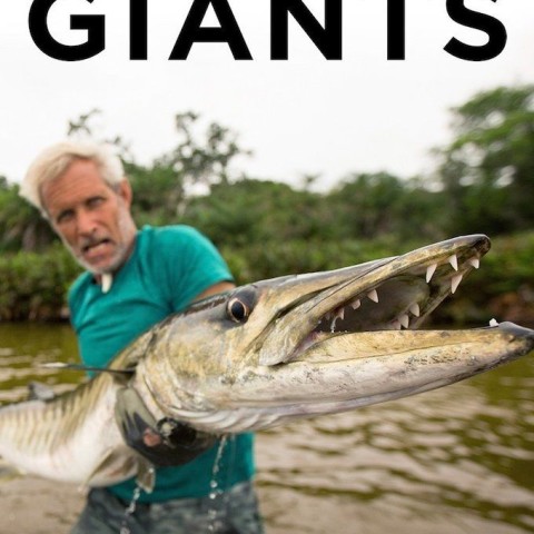 Fishing for Giants