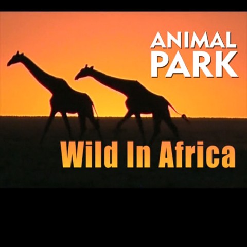 Animal Park: Wild in Africa