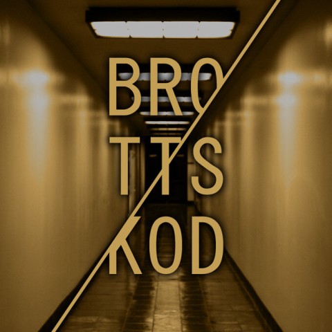 Brottskod