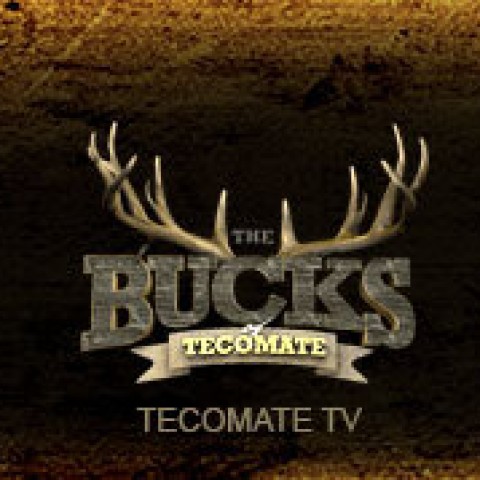 The Bucks of Tecomate