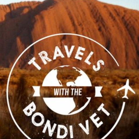 Travels with the Bondi Vet