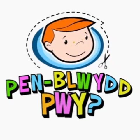 Pen-Blwydd Pwy?