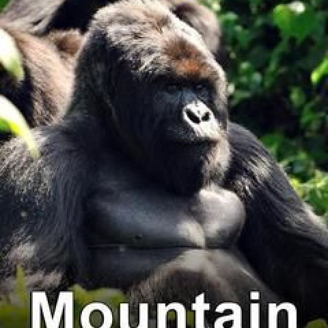 Mountain Gorilla: Mission Critical