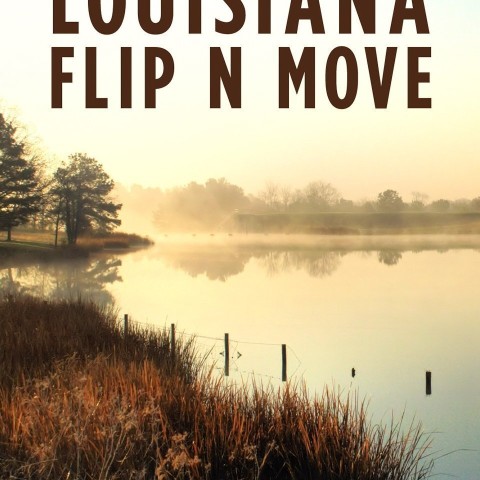 Louisiana Flip N Move