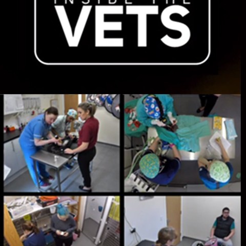 Inside the Vets