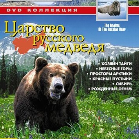 Realms of the Russian Bear