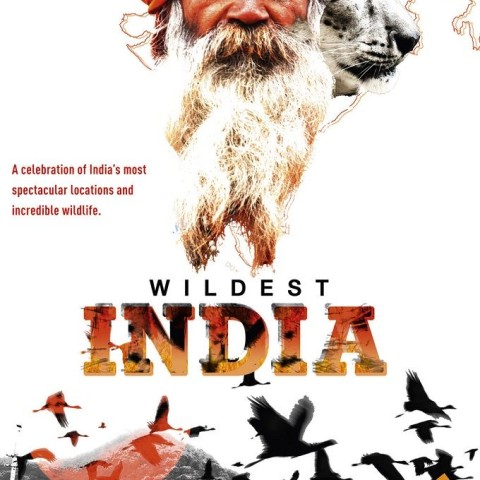 Wildest India