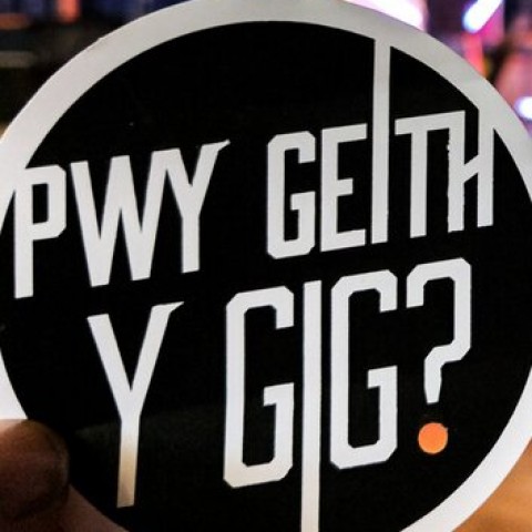 Pwy Geith y Gig?