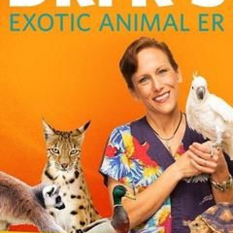 Dr. K's Exotic Animal ER: Gloves Off!