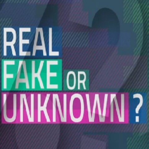 Real, Fake or Unknown