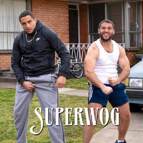 Superwog