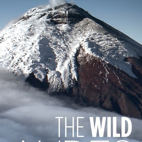 The Wild Andes