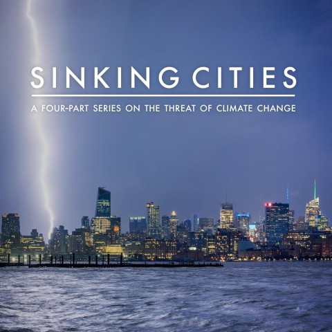 Sinking Cities