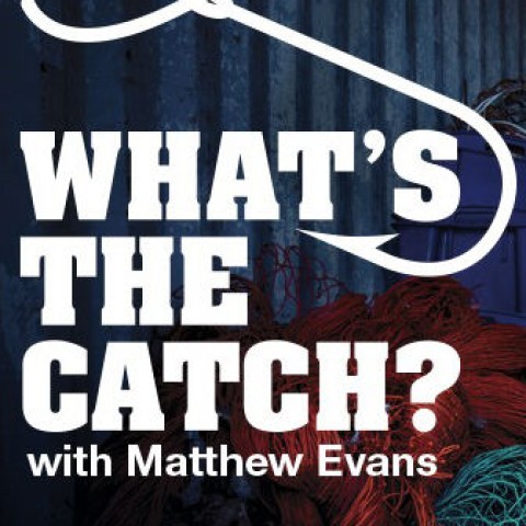 What's the Catch with Matthew Evans