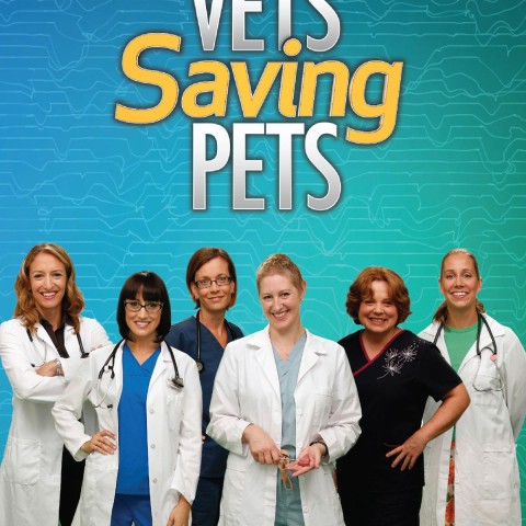 Vets Saving Pets