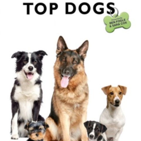 Britain's Top Dogs