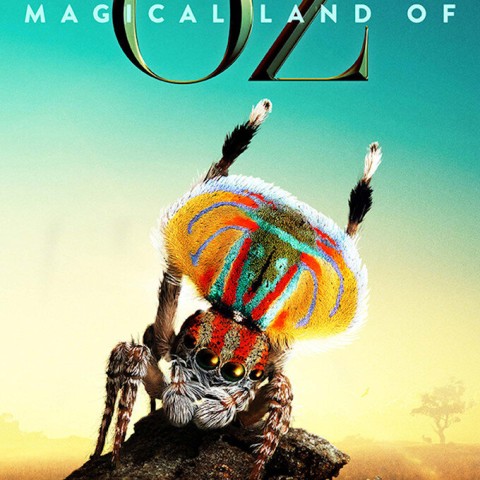 Magical Land of Oz