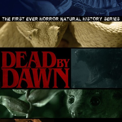 Dead by Dawn