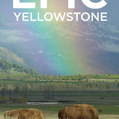 Epic Yellowstone