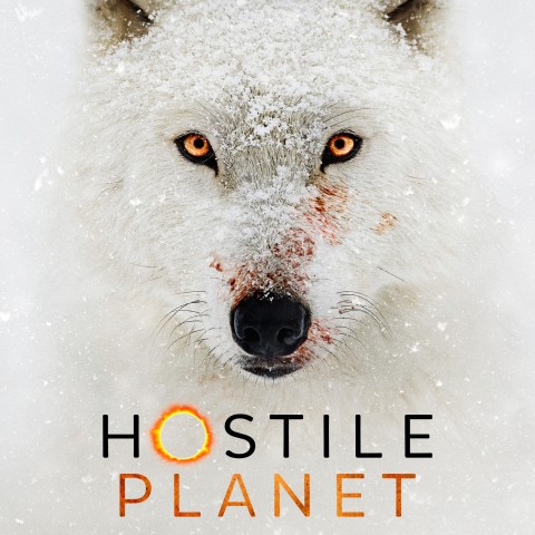 Hostile Planet