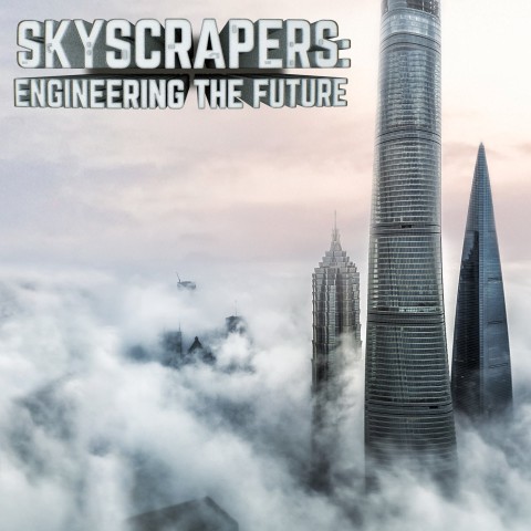 Skyscrapers: Engineering the Future