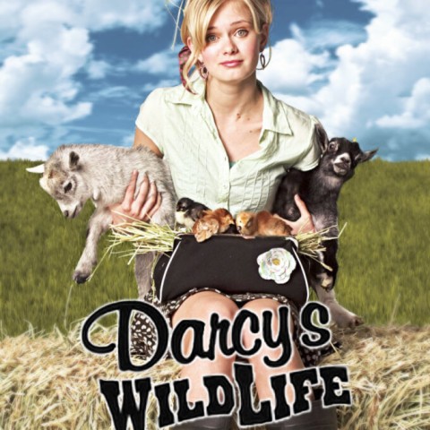 Darcy's Wild Life