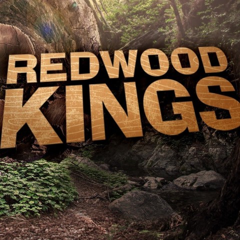 Redwood Kings