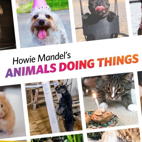 Howie Mandel's Animals Doing Things