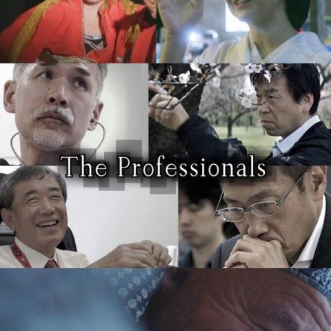 The Professionals