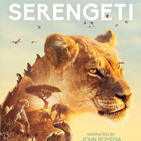 Serengeti